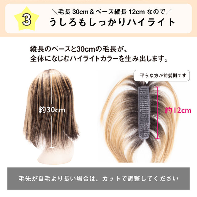 【ピンなし部分ウィッグ】 Melty color ウィッグ
